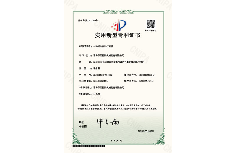 一種裙邊自動打毛機